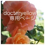 docteryellow 様専用ページ