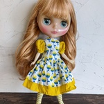 ブライスアウトフィット　リカちゃん