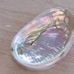 ＊シェルプレート ＊ 浄化皿 ＊ アバロンシェル ＊ 石置き ＊ アクセサリー置 ピアス ブレスレット ネックレス