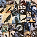 (再販×25)カラスのジャーナルペーパーセット＊紙モノ＊コラージュ素材＊コラージュペーパー