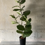 光触媒　人工観葉植物　ウォールグリーン　フェイク　フラワー　シーグレープ115