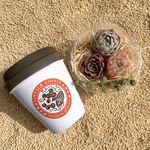 カフェポット 多肉植物寄せ植えセット　