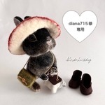 diana715様専用 オーダーうちのこシリーズ 羊毛フェルト 着せ替えウサギ 