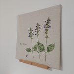【絵30cm角】ラベンダーセージ【送料込】