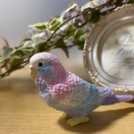 オーダー　セキセイインコ　アロマストーン