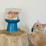 猫の食器　陶芸家による手作りの食器　