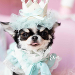 ふんわりmintチュールの　mini crown 犬用アクセサリー　ペットの記念日に♪ ベビークラウン　赤ちゃんやお子様にも♡