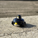 ペンギンの車　海　ブラック
