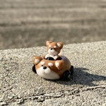 柴犬の車　いぬ