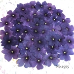 ♡new♡作家様必見♡ 人気のバーベナがいっぱい♡ 押し花セット