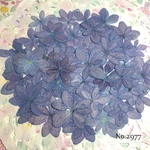 ♡new♡ヴィンテージ風な大人カラー♡紫陽花の押し花セット