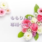 ももりん様専用ページ