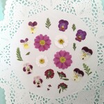 押し花素材475　ミックスセット　