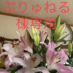 ぷりゅねる様専用