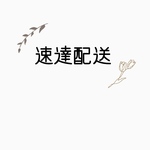 速達配送用追跡プラス