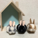 うさぎ 動物ぽんぽん
