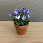 チューリップ　花鉢　8