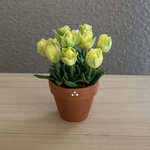 チューリップ　花鉢　9