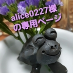 alice0227様の専用ページ