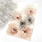 【送料無料】アルコールインクアート インテリア ポスター《elegantflower gray cocoa》