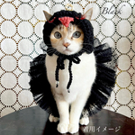 お届けは4枚目写真のセットになります♡猫の白鳥の湖♡ブラック
