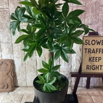 光触媒　人工観葉植物　ウォールグリーン　フェイク　アレンジ　バオバブ