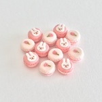 桜とうさぎさんのマカロンセット