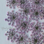 ネイリストが作る＊レースフラワーの押し花素材