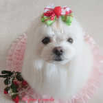 2022🍓いちごフェア.｡.:*♡チェック柄バレッタ