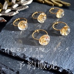 〖限定数再販予約受付〗白蛇のタリスマンリング✶無限の発展✶ring of talisman/KakeraPlants