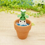 収穫を悟ってしまったマンドラゴラ【ホワイト】