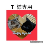 T様専用【名前入タグ付猫首輪】グレンチェックとペイズリー(赤)の猫首輪
