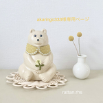 akaringo333様専用ページ