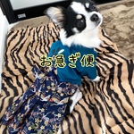 7日以内発送 〜お急ぎ便〜