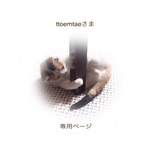 ttoemtaeさま 専用ページ