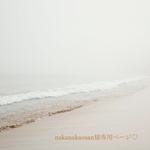 nakanakaosan様専用ページ♡