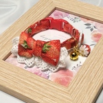 苺🍓猫首輪