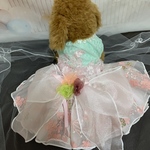 犬猫うさちゃん服　春ワンピース🌸 ミントグリーンのビックリボン　カラードレス