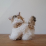 三毛猫ハチワレちゃん