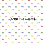 【ANNEちゃん専用】わんベッド一式