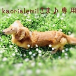 kaorialemilさま♪専用