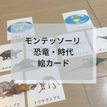☆モンテッソーリ☆恐竜絵カード