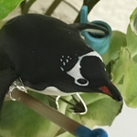 お掃除、行ってきまーすブローチ