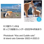 キス猫サイン本＆ほっこり島猫カレンダー2022年4月始まり　Photobook “Kiss and Cuddle cats”& Island cats Calendar