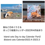 島ねこ日めくり２＆ほっこり島猫カレンダー2022年4月始まり（Island cats Day to day Calendar Part2&Island cats Calendar2022.4）