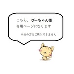 ぴーちゃん様専用ページ