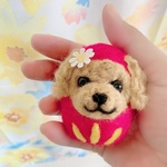 ❤️ふわころっ！トイプードルちゃんダルマさん❤️