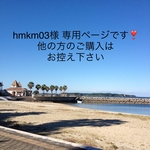 hmkm03様  専用ページ❣️キーケース