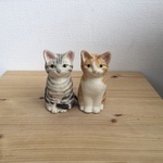 ねこの日、あなたの猫の柄に。