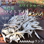 最上級 カルフォルニアホワイトセージ 20g 箱に入れて発送します。シリカゲル入り✴︎